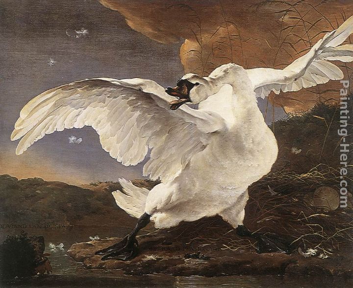 The Threatened Swan painting - Jan Asselyn The Threatened Swan art painting